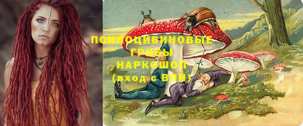 гидра Кулебаки