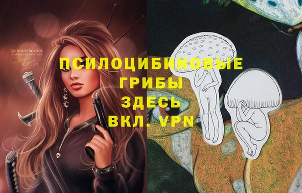 мяу мяу мука Кукмор