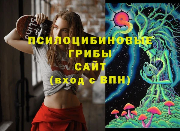 мяу мяу мука Кукмор