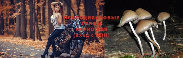 гашик Куйбышев