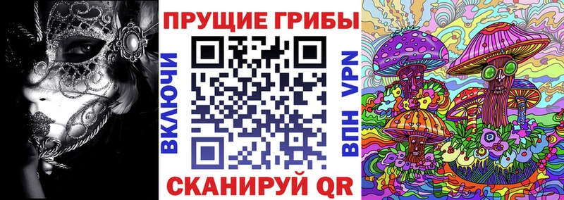 Галлюциногенные грибы MAGIC MUSHROOMS  Купить  Голицыно 